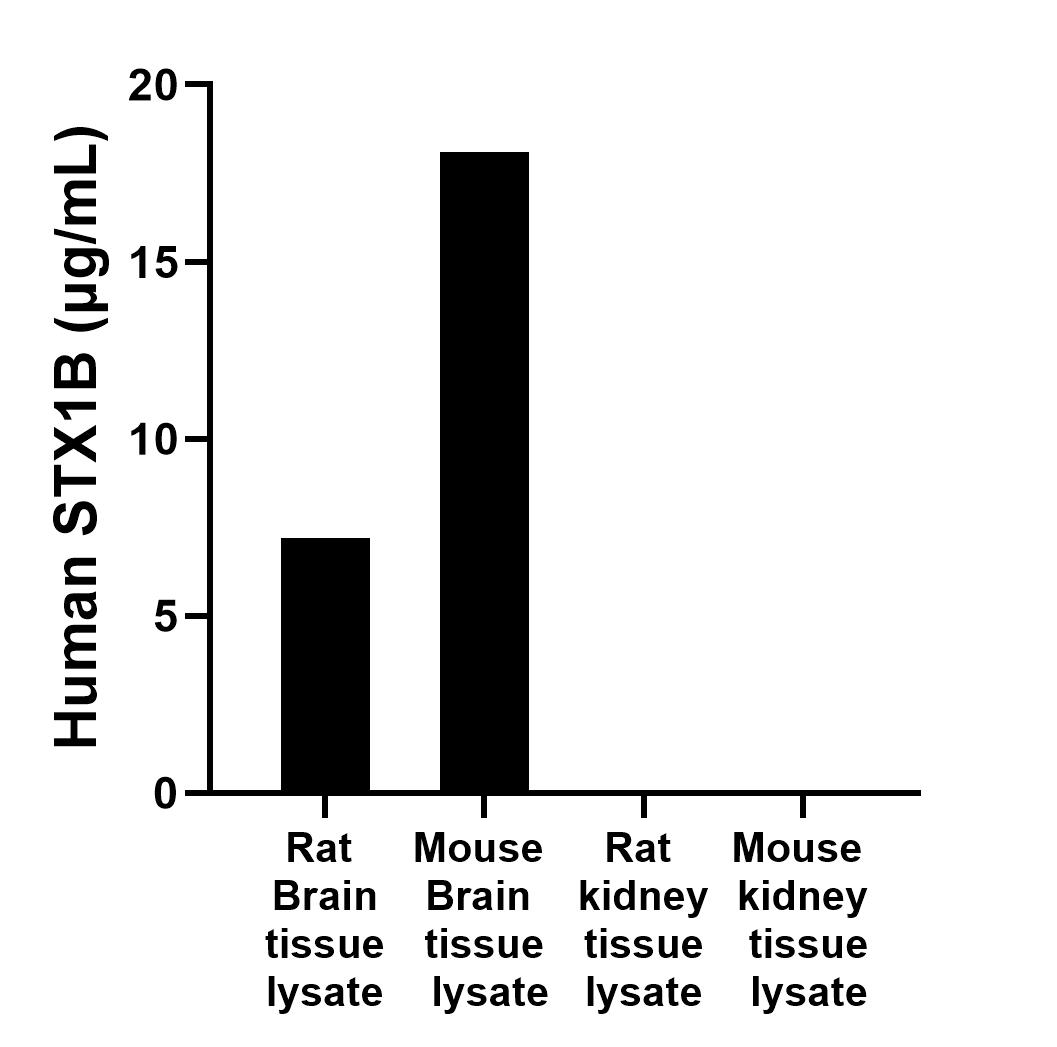 Sample test of MP00312-1